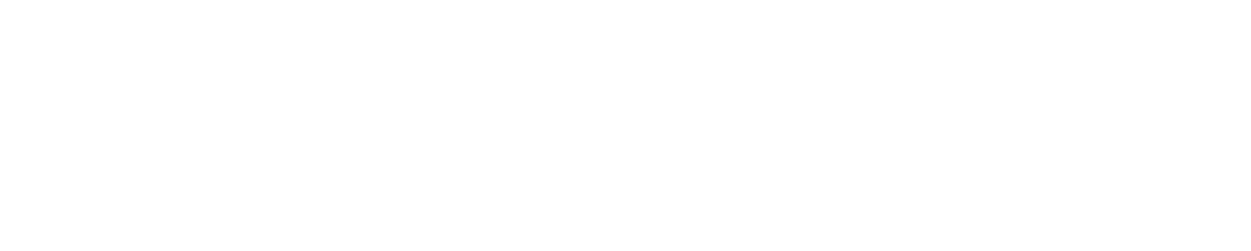 Vertical Information Technology Ltd.